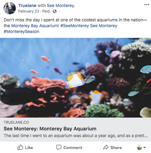 Fishes in an aquarium at See Monterey, Monterey Bay Aquarium.