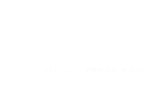 Borgata Casino & Spa white logo.