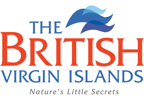British Virgin Island color logo.